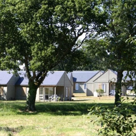 CHALET 6 personnes - Chalet 6 personnes - 47m²