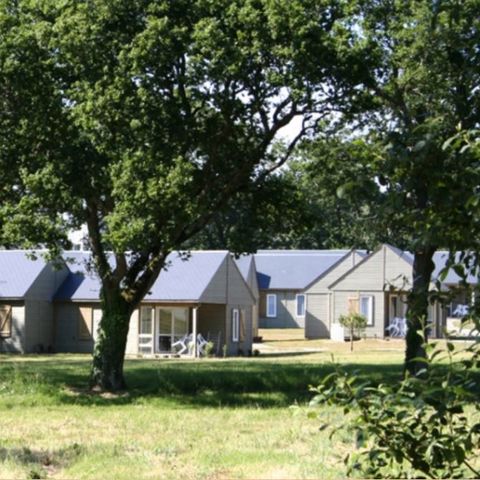 Chalet 6 persons - Chalet sleeps 6 - 47m² (47m²)