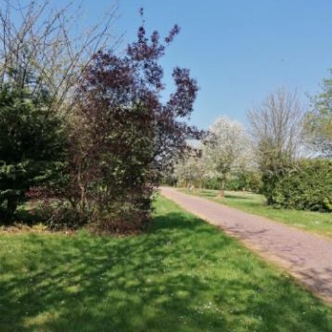 PIAZZOLA - Piazzola senza elettricità