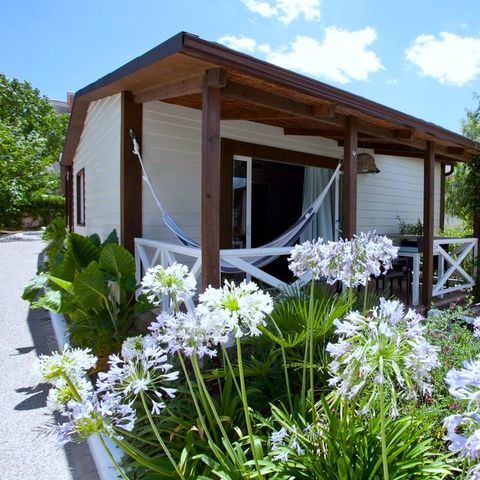 Bungalow 3 persons - Bungalow Premium Caribe 3 pers