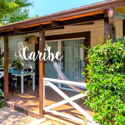 BUNGALOW 4 people - Bungalow Premium Caribe 4 pers