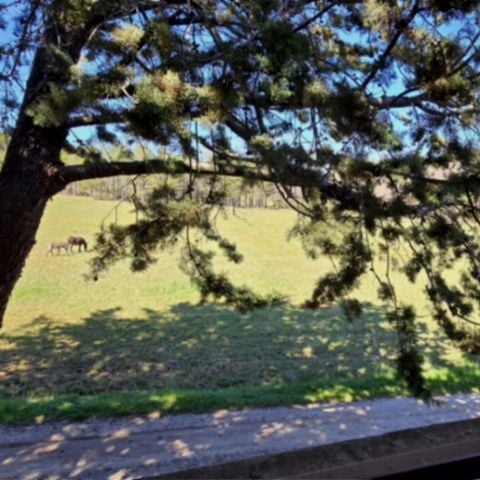 CASA DI CAMPAGNA 6 persone