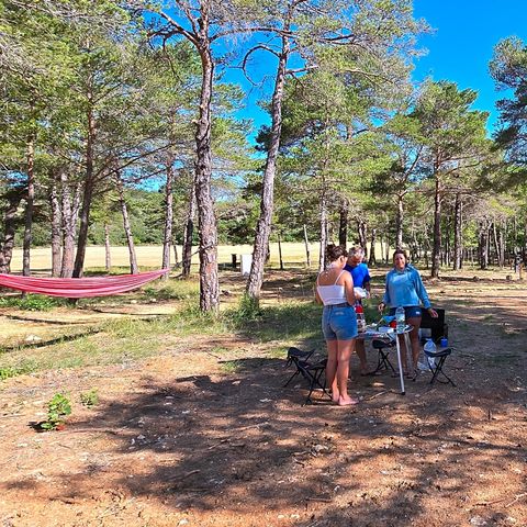 Pitch - Pitch with electricity included for 2 people (1 tent or 1 van or 1 caravan or 1 motor home)