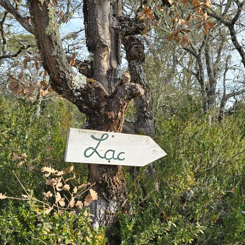 Camping Verdon les Grands Domaines - Camping Alpes-de-Haute-Provence - Image N°4