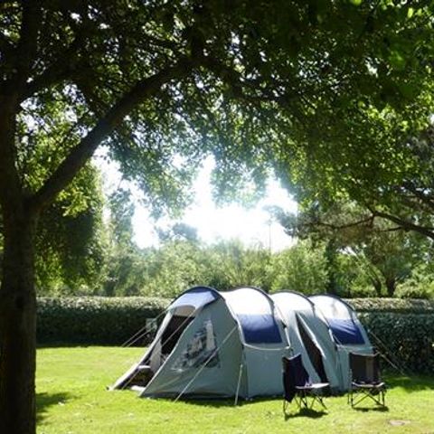 Kampeerplaats - Standplaats 80m²