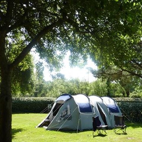 Stellplatz - Stellplatz 80m²