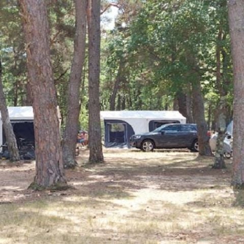 EMPLACEMENT - Emplacement camping sans Electricité