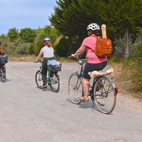 Nature et vacances Camping Cristal D'Opale - Camping Pas-de-Calais - Image N°6