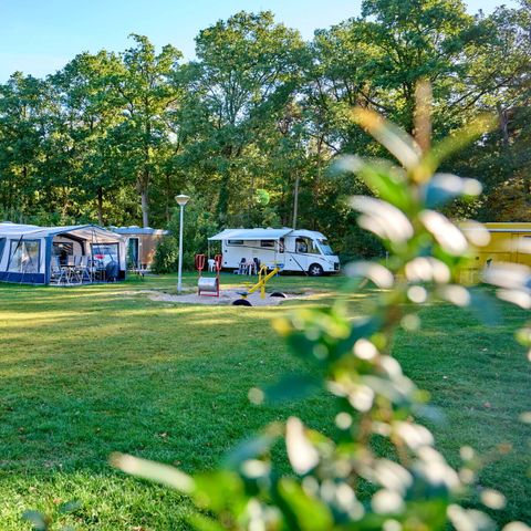 PIAZZOLA - Piazzola | Essenziale | Tenda | Veicolo +7m | >120m² | Elettricità | No acqua