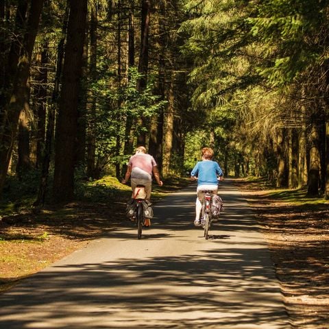 Tour Opérateur sur Vakantiepark de Bergen - Camping Sint Anthonis - Image N°6