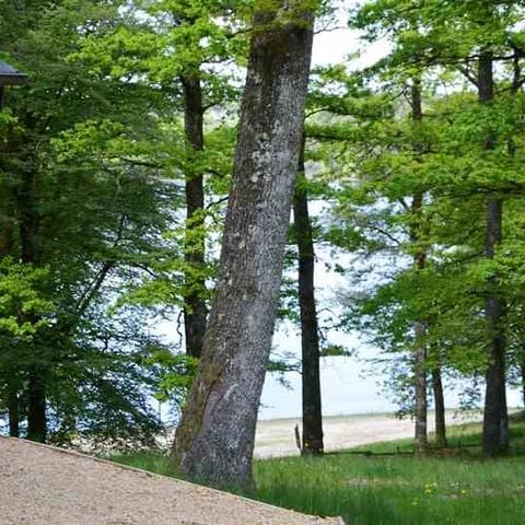 CHALET 4 people - Détente 2Ch. 4 / 6 pers (2 extra people possible contact the campsite)