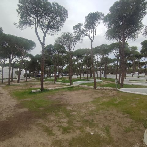 Pitch - MEDIUM FOR SMALL CARAVANS