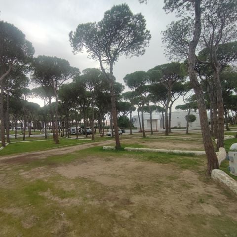 Pitch - MEDIUM FOR SMALL CARAVANS