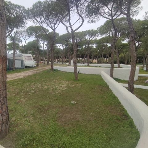 PLOT - STANDARD ONLY FOR TENTS