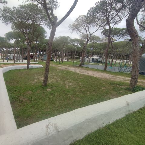 Pitch - STANDARD ONLY FOR TENTS