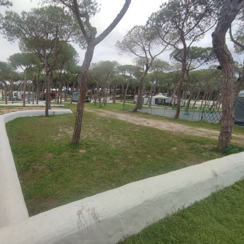 STAANPLAATS - STANDAARD ALLEEN VOOR TENTEN