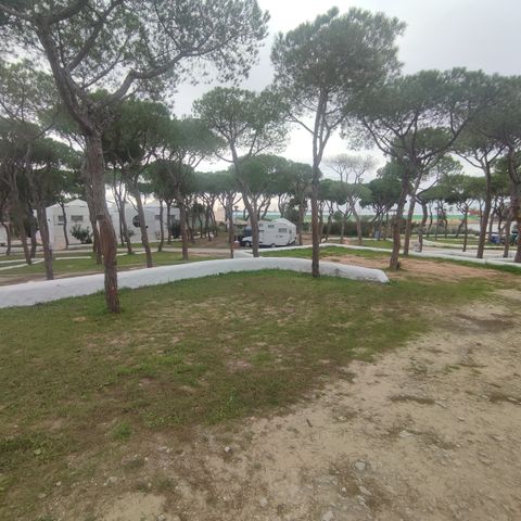 PIAZZOLA - STANDARD SOLO PER LE TENDE