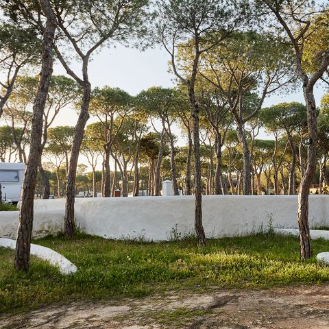 Pitch - STANDARD ONLY FOR TENTS