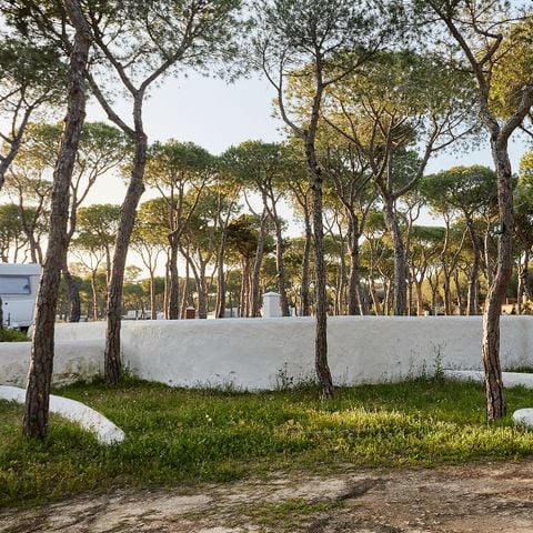 PLOT - STANDARD ONLY FOR TENTS