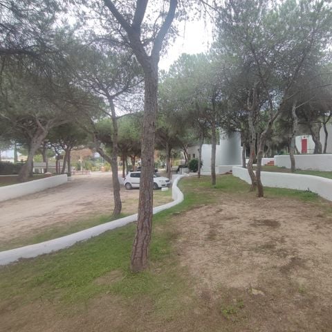 PARCELA - TERRAZA ESTÁNDAR SÓLO PARA TIENDAS