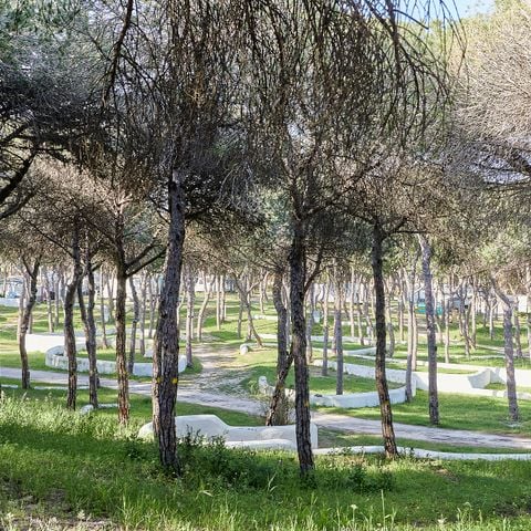 PLOT - STANDARD TERRACE FOR TENTS ONLY