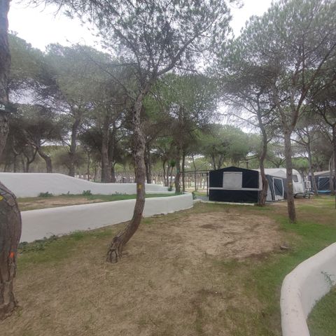 PIAZZOLA - TERRAZZA STANDARD SOLO PER TENDE