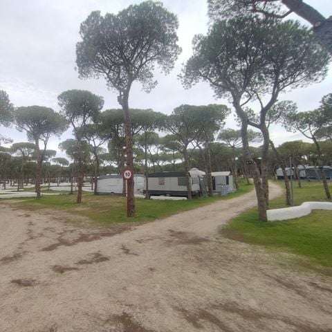 PIAZZOLA - GRANDE PER LA ROULOTTE