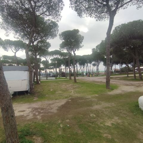 EMPLACEMENT - GRAND POUR AUTOCARAVAN