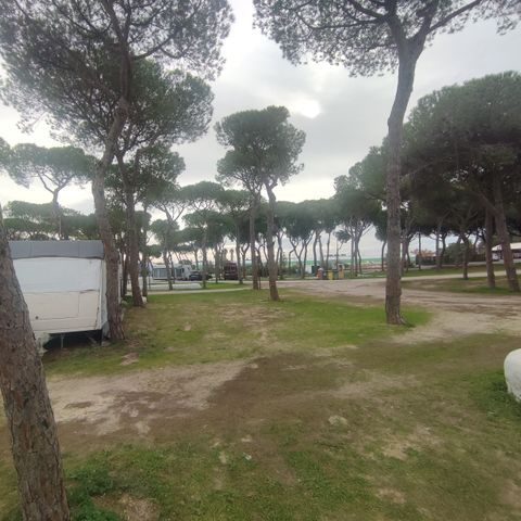 EMPLACEMENT - GRAND POUR AUTOCARAVAN