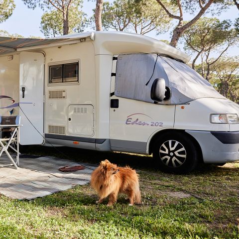 Stellplatz - GROSS FÜR AUTOCAVAN