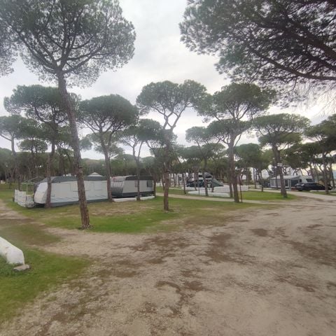 EMPLACEMENT - GRAND POUR AUTOCARAVAN