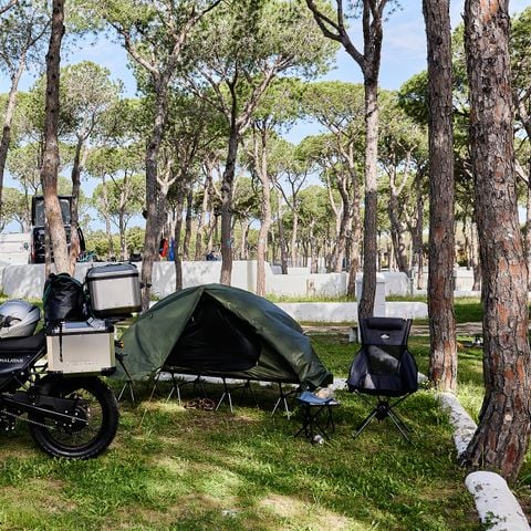 PLOT - MEANS FOR TENTS ONLY