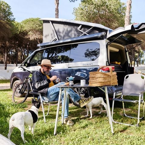 PLOT - MEANS FOR TENTS ONLY