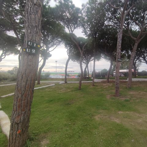 Pitch - MEANS FOR TENTS ONLY