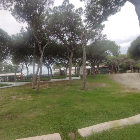 PIAZZOLA - SOLO PER LE TENDE