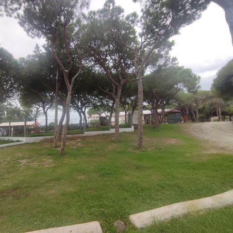 PIAZZOLA - SOLO PER LE TENDE