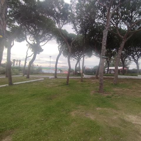 Pitch - MEANS FOR TENTS ONLY