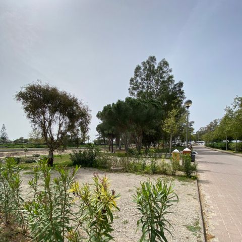 PLOT - MEDIUM FOR MOTORHOME