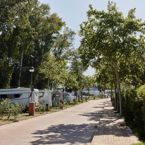Kampeerplaats - MEDIUM VOOR CAMPER