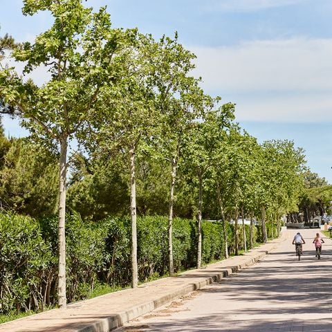 PIAZZOLA - MEDIO PER CAMPER