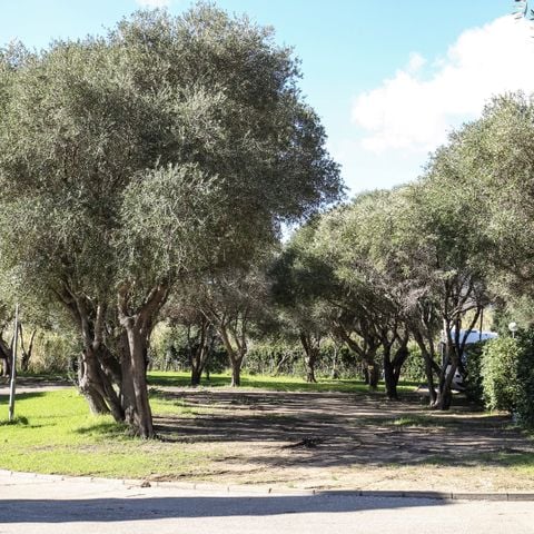 PARCELA - PARCELA GRANDE CON AGUA