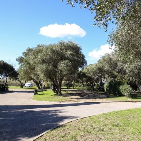 EMPLACEMENT - GRAND EMPLACEMENT OMBRAGÉ ET EAU 