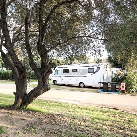 PLOT - LARGE SHADED PREMIUM PLOT