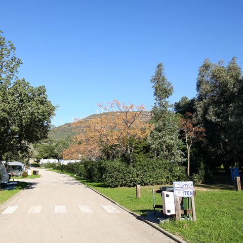 EMPLACEMENT - GRAND TERRAIN DE PREMIER CHOIX AVEC SOLEIL