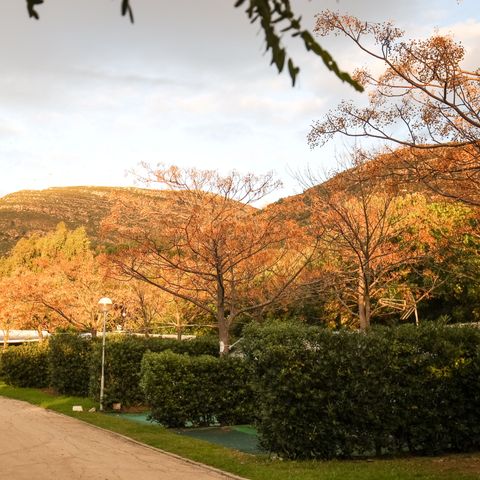 Pitch - LARGE SUNNY LOCATION