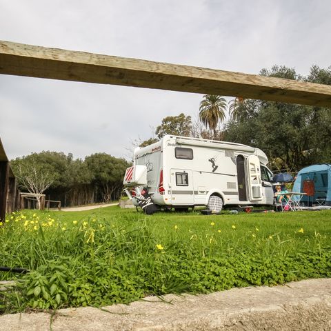 Kampeerplaats - GEMIDDELDE LIGGING OP ZONNIG TERRAS
