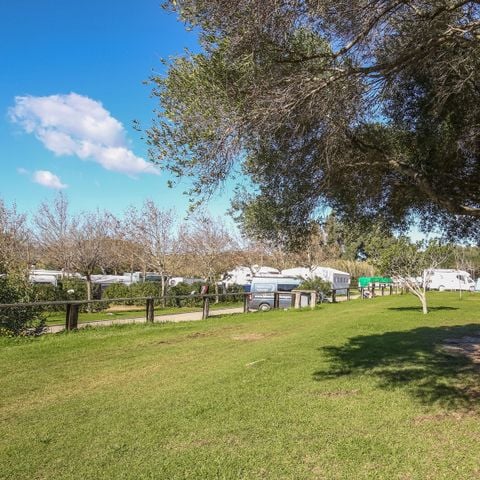 PARCELA - MEDIANA TERRAZA SOMBRA