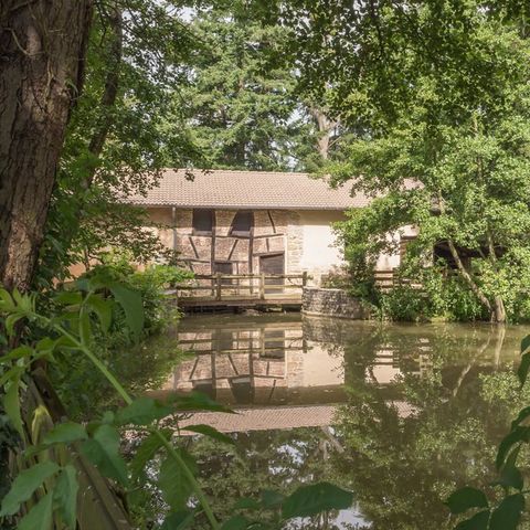 HABTIACIÓN 2 personas - Habitación doble estándar