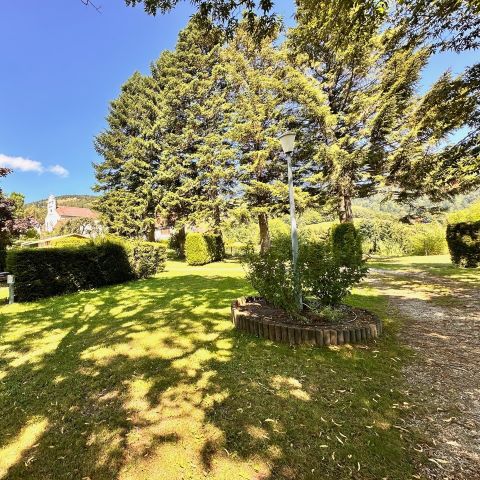 PLOT - Pitch (tent, caravan or motorhome + 10A electricity)