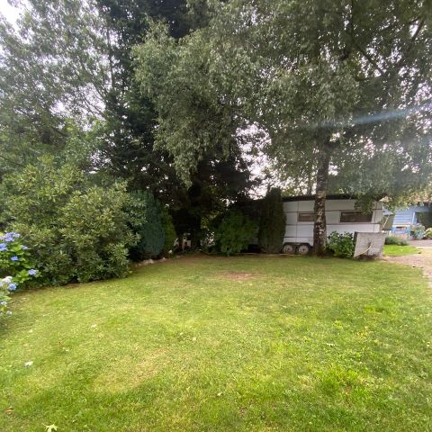 PLOT - Pitch (tent, caravan or motorhome + 10A electricity)